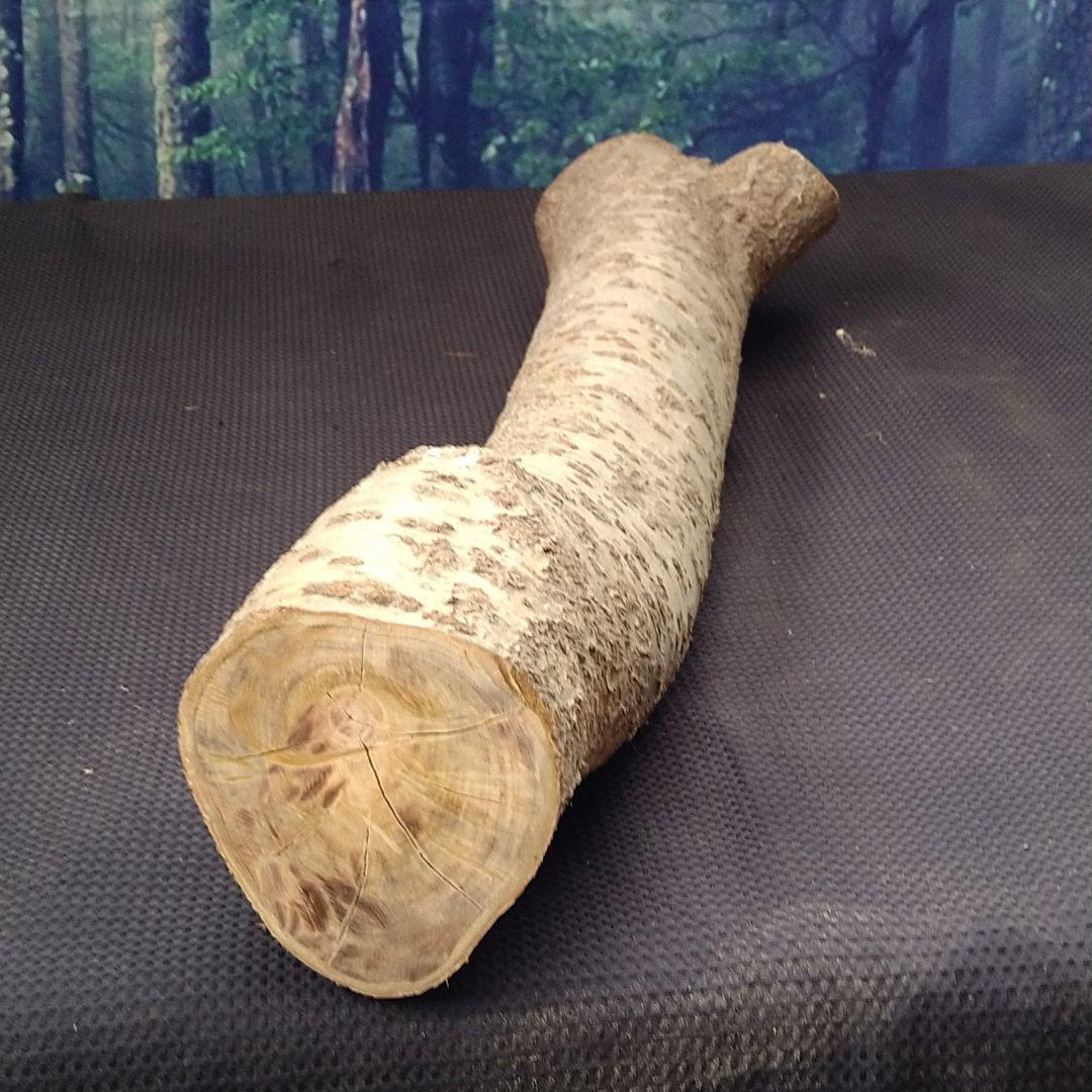 交渉中です！桜の原木