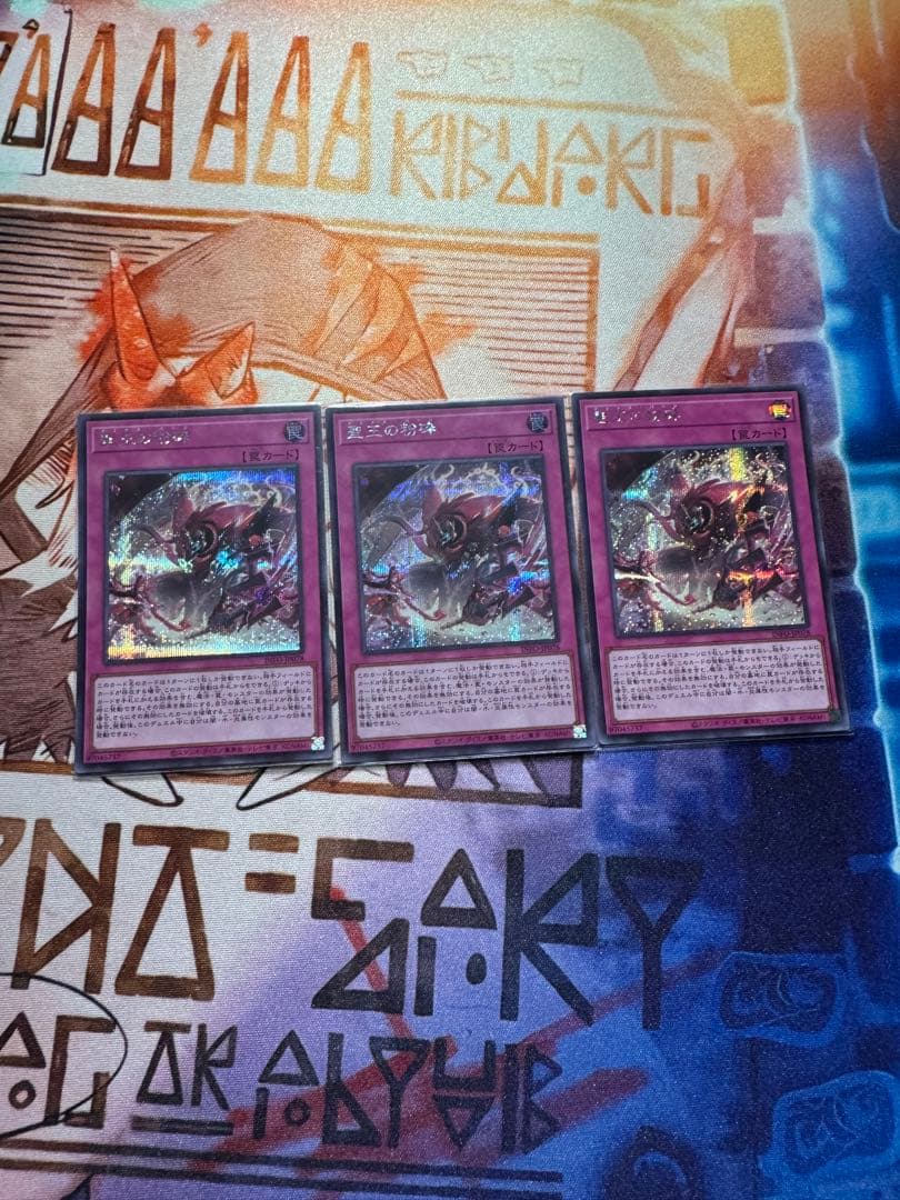 030 聖王の粉砕 シークレット