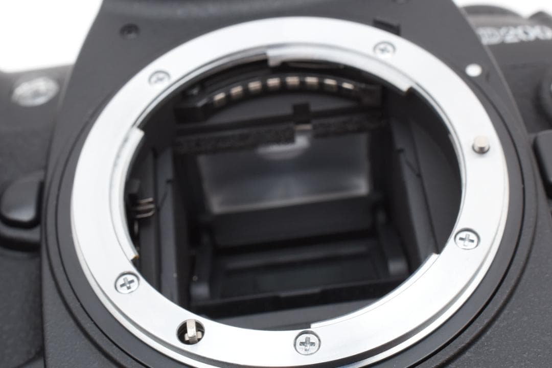 超美品 NIKON D200 デジタル ボディ ショット数 7551枚 H352