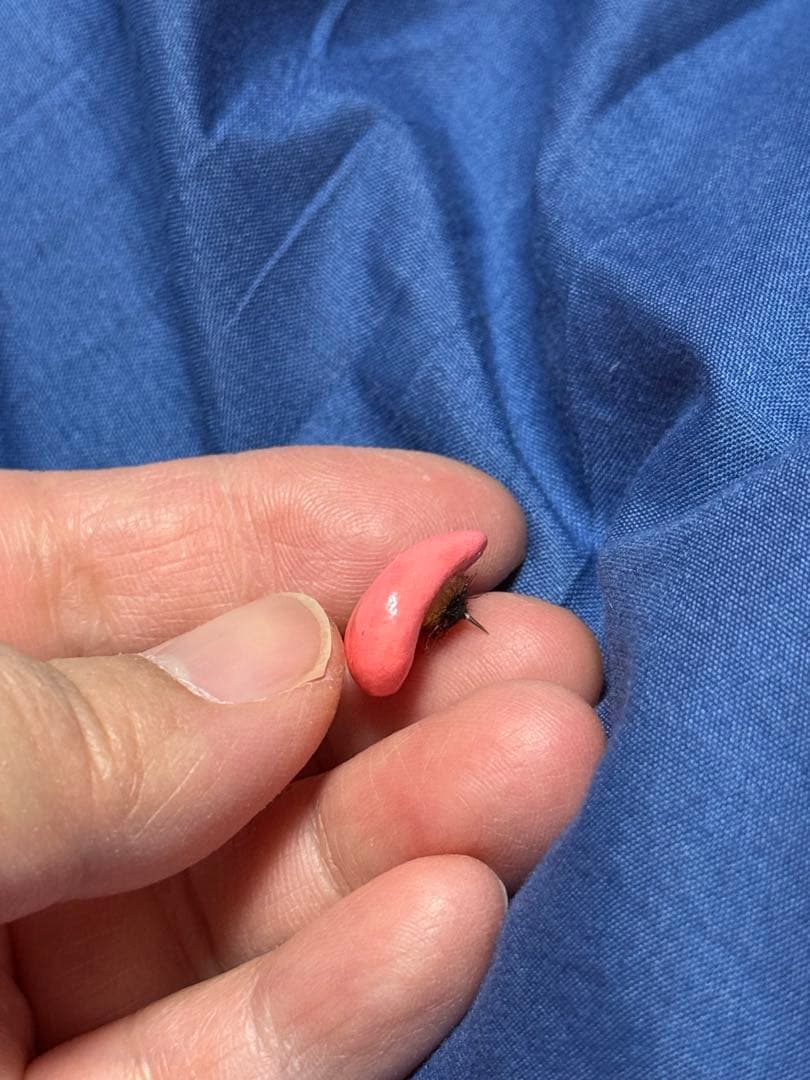 作家様製 アートドール ぬいぐるみ 狐 幻獣 動物