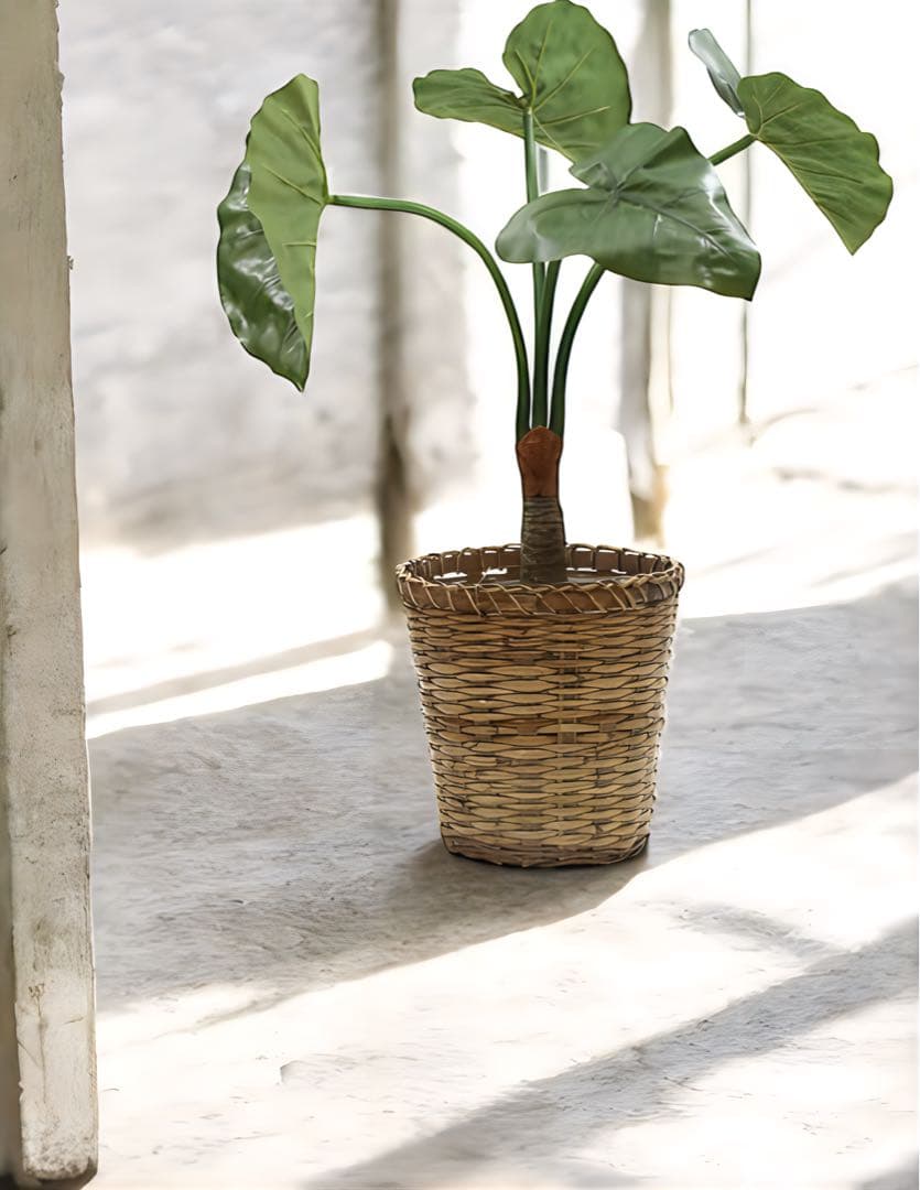 光触媒　人工観葉植物　ウォールグリーン　フェイクグリーン　クワズイモ70