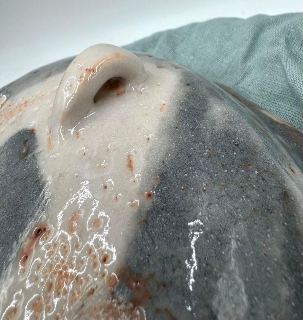 130献上窯元　陽山窯　三代水野雅之　鼡志野　鉢　未使用品　共箱　共布