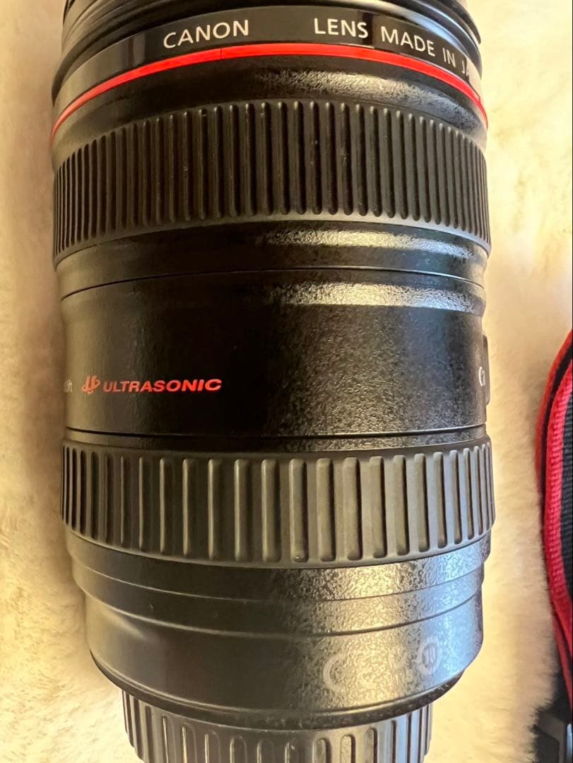 ミ*ー様 Canon EF 24-105mm 1:4L IS USM セット