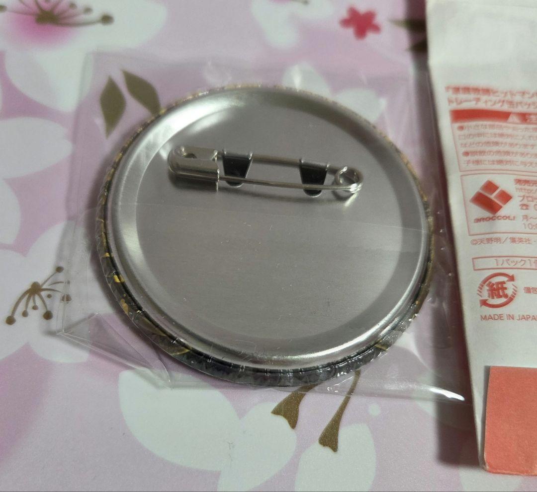 家庭教師ヒットマンREBORN！　缶バッジ　JF 2016　沢田綱吉