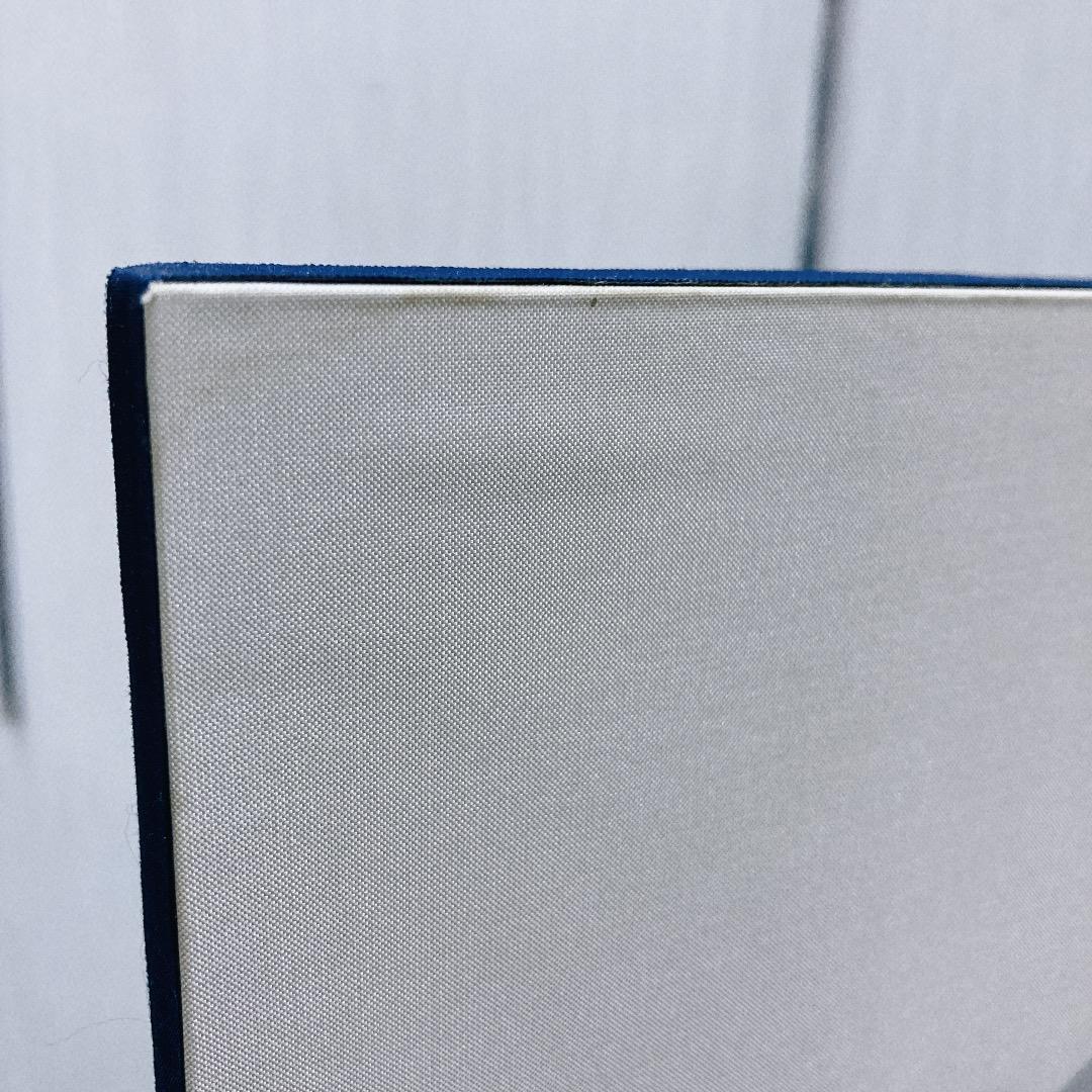 E35 訳あり特価！青竜屏風　端午の節句　五月人形鎧兜　五月屏風　五月初節句