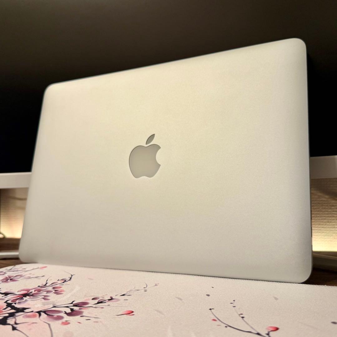 MacBookPro Early2015 充電145回