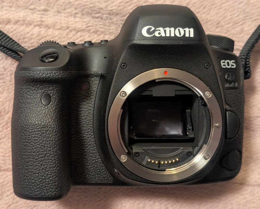 Canon EOS 6DmarkⅡ 28-135mmズームセット