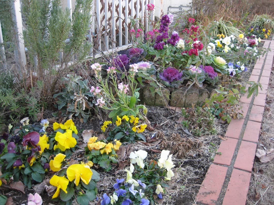 追加有⭕️【動作確認済】Canon IXY DIGITAL 10 デジカメ