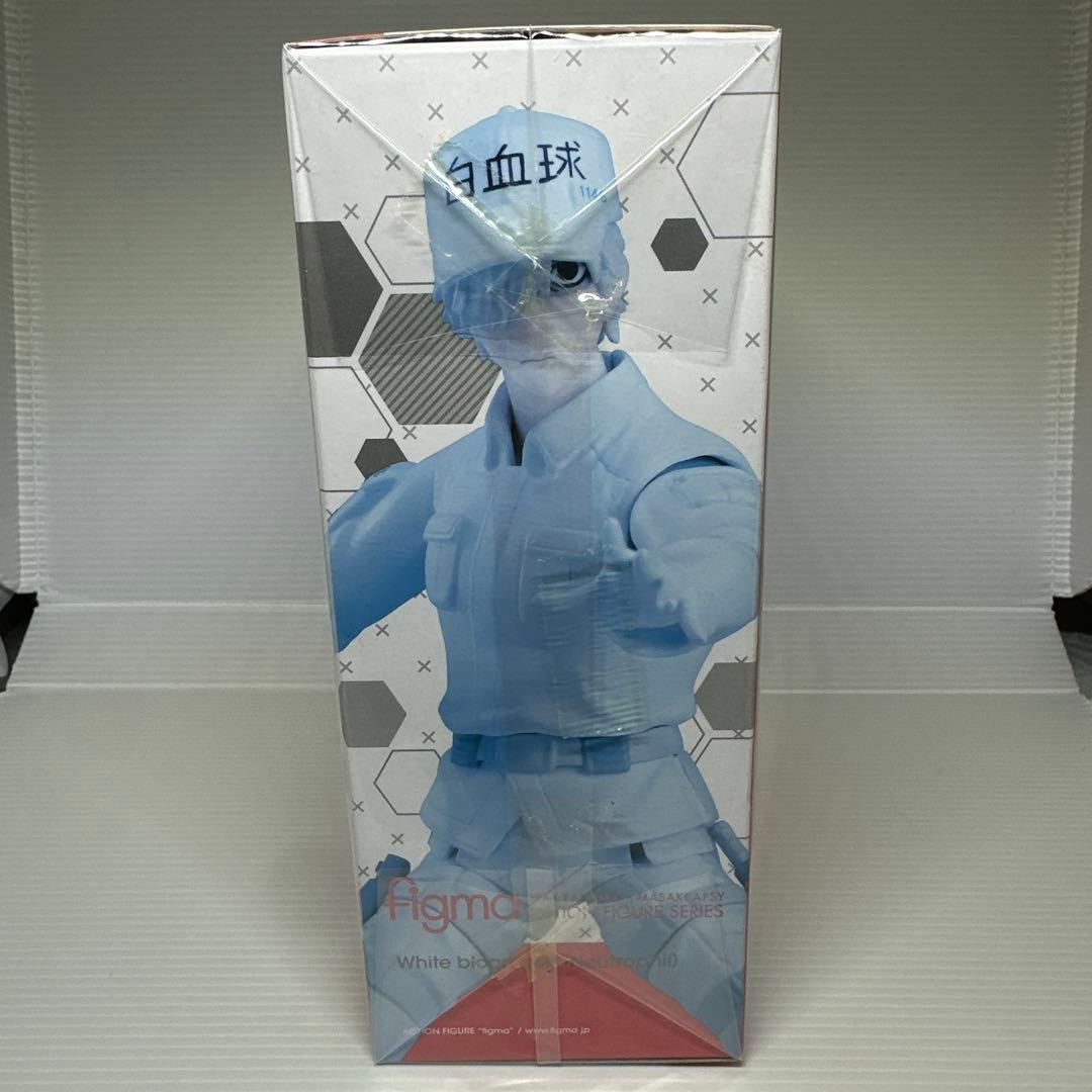 figma 白血球　はたらく細胞