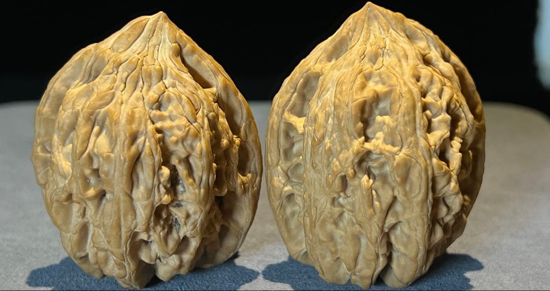 文玩堂：大沽石文玩胡桃（超大型）