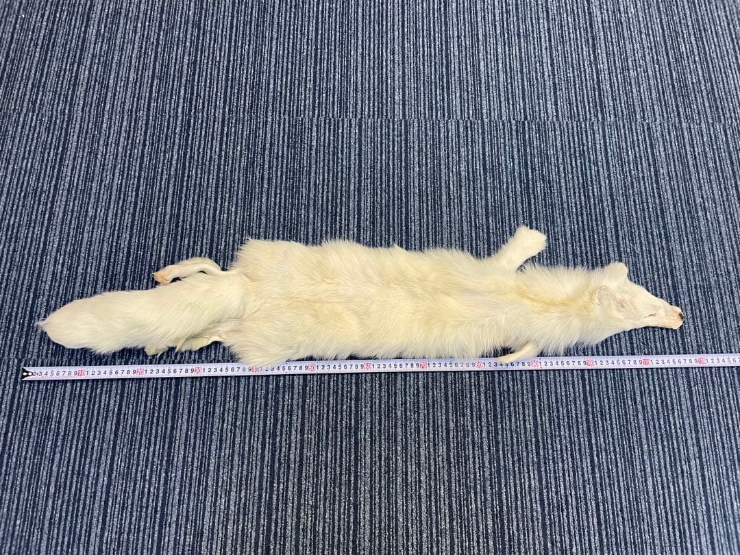 なのちゃん専用　フォックス　狐　原皮