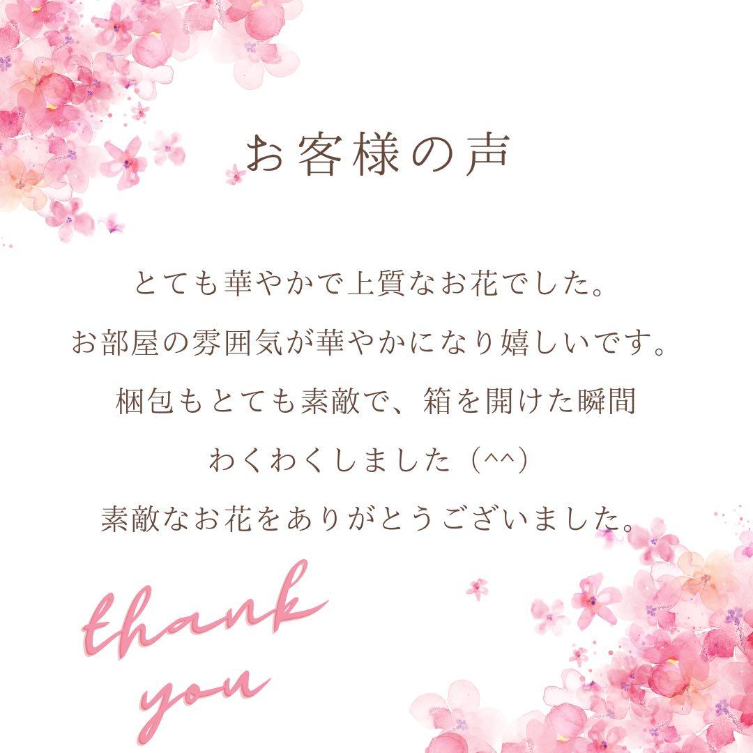 光触媒フラワー 贅沢バスケットアレンジメント 光触媒 記念日 ギフト