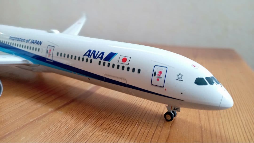 はなをさん専用 ANA Boeing 787-10