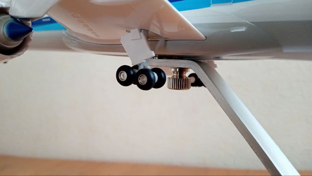 はなをさん専用 ANA Boeing 787-10