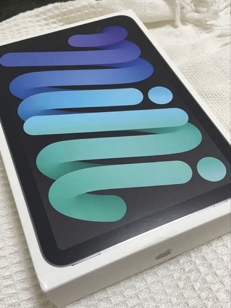 【保証付】iPad mini A17Pro (第7世代)wifi 512GB