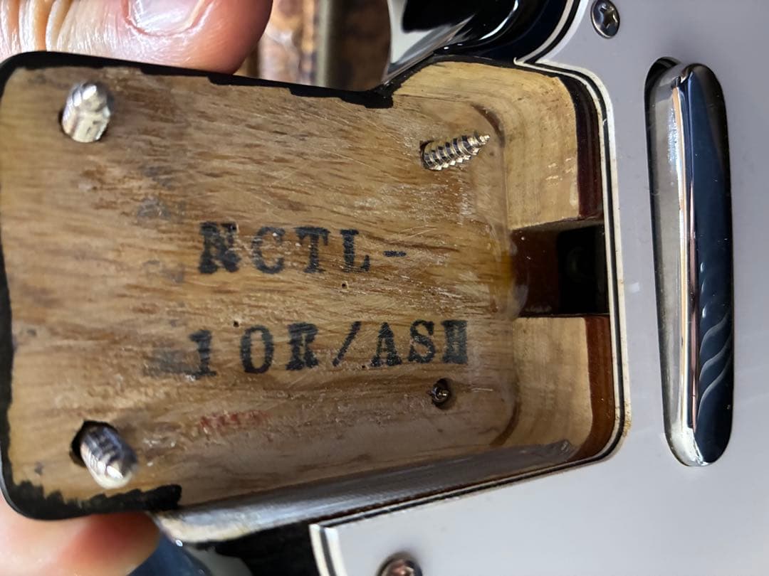 FGN Fujigen フジゲン Neo Classic テレキャスタイプ