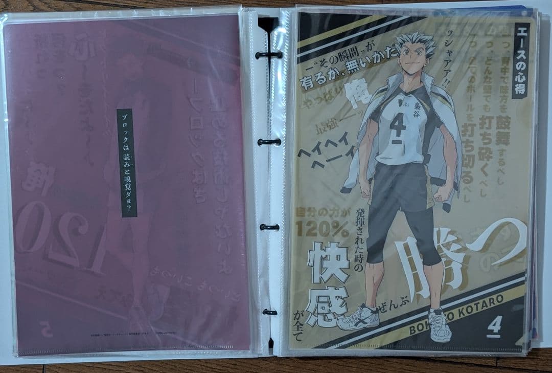 ハイキュー　クリアファイル　コンプ　アニメイト　完売品