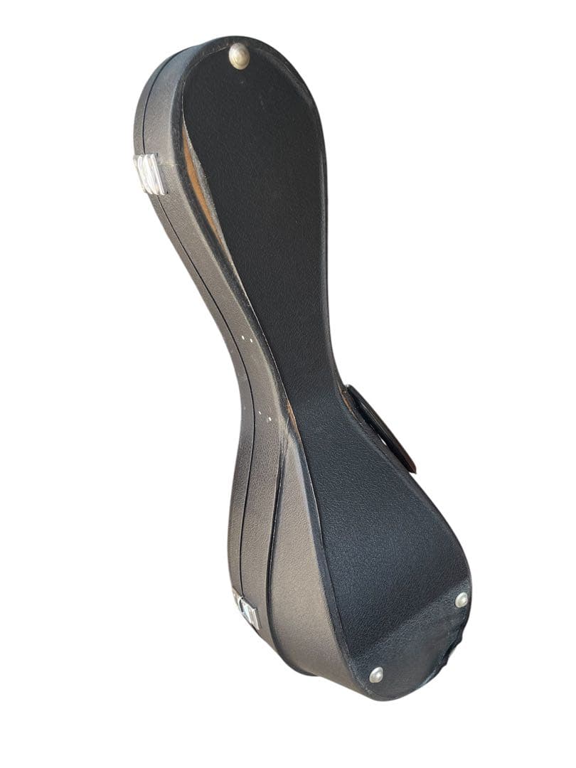 美品　SUZUKI M-30 スズキ マンドリン ケース付き