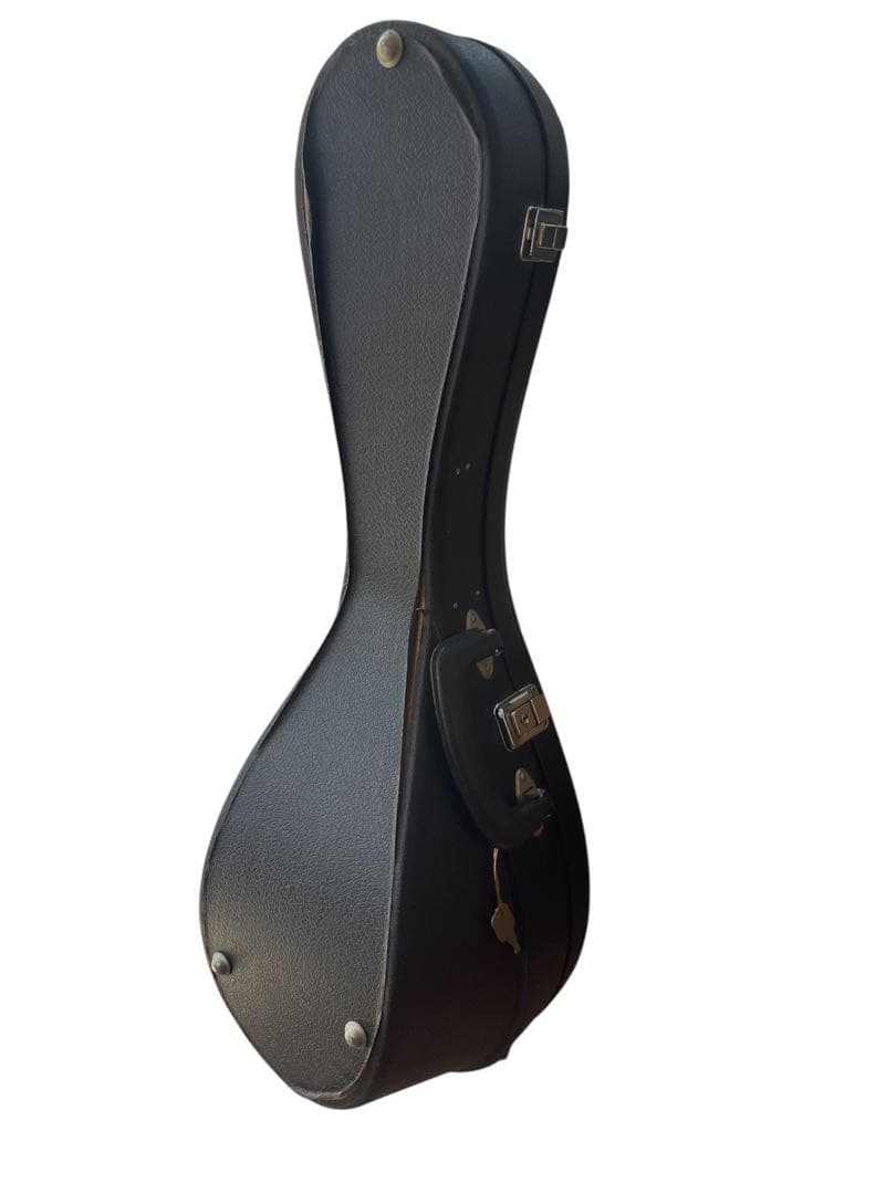 美品　SUZUKI M-30 スズキ マンドリン ケース付き