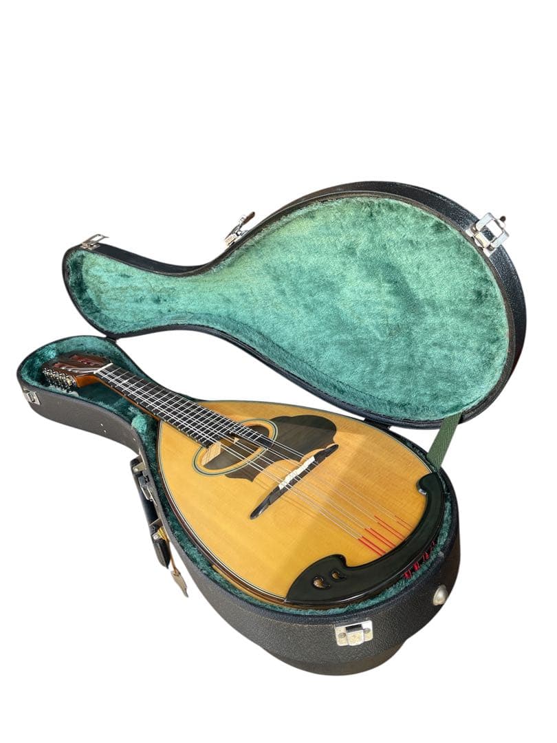 美品　SUZUKI M-30 スズキ マンドリン ケース付き