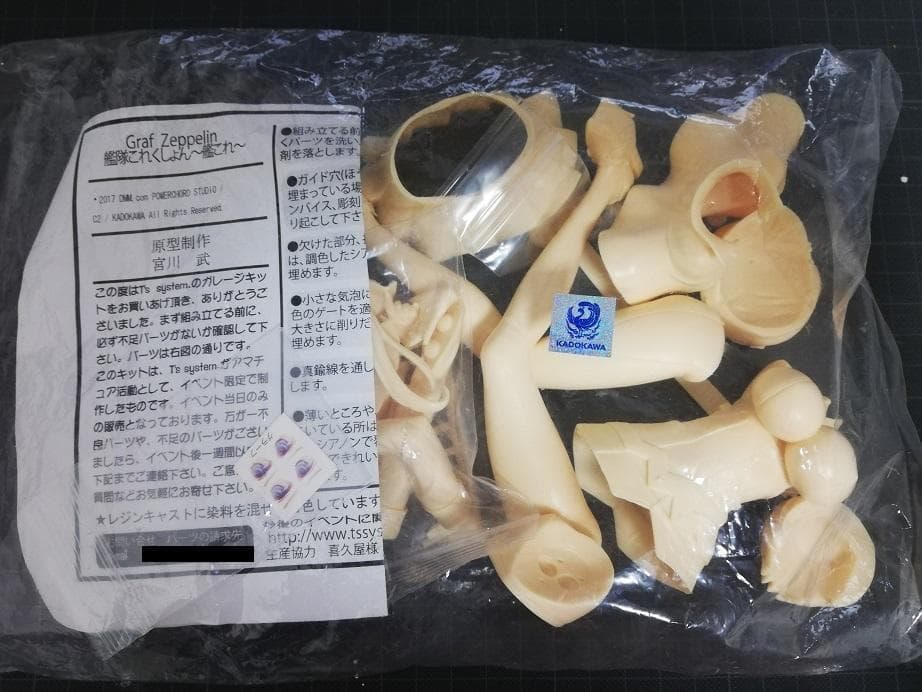 Ts system 艦これ グラーフ　ツェッペリン ガレージキット ワンフェス