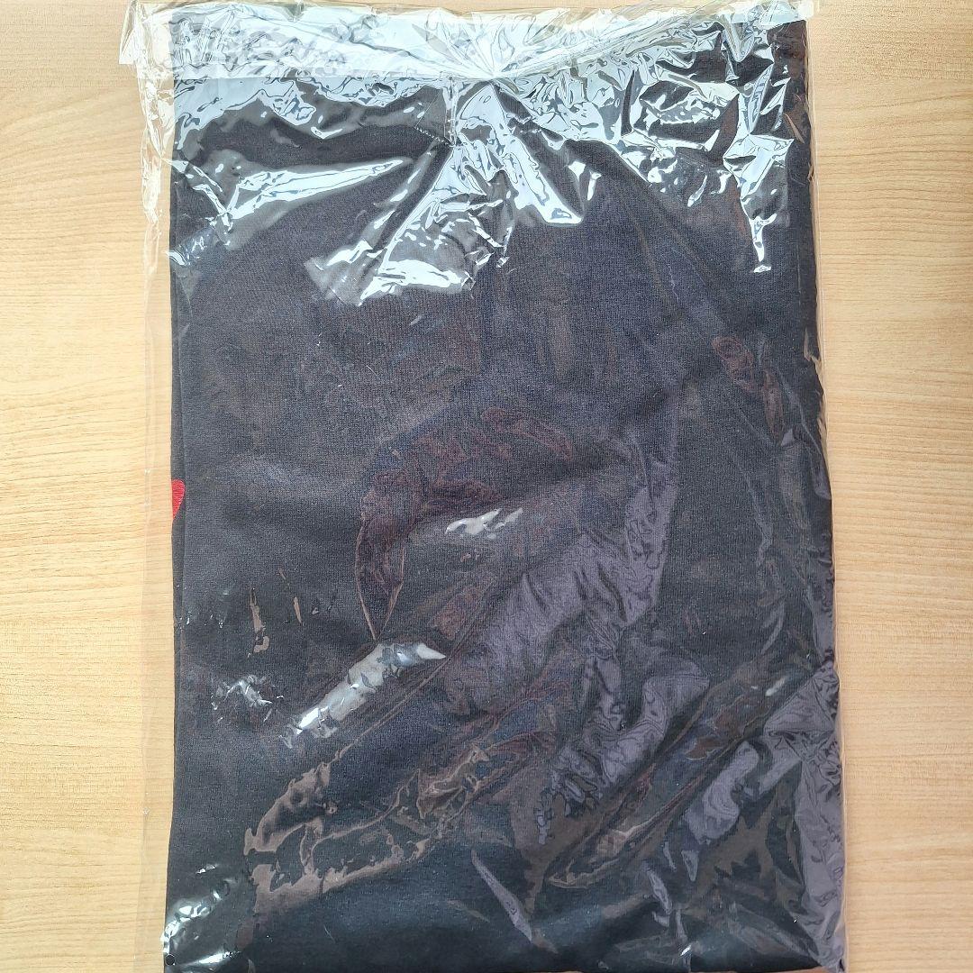 FANTASTICS buddix ロングTシャツ