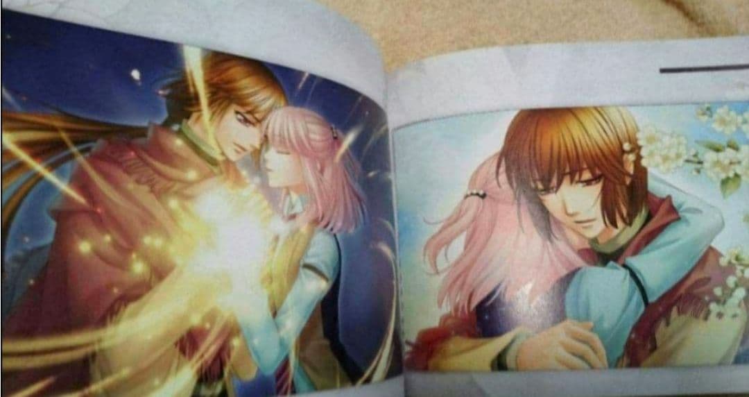 遙かなる時空の中で5 　設定資料集 　フォトライブラリ　イラスト集