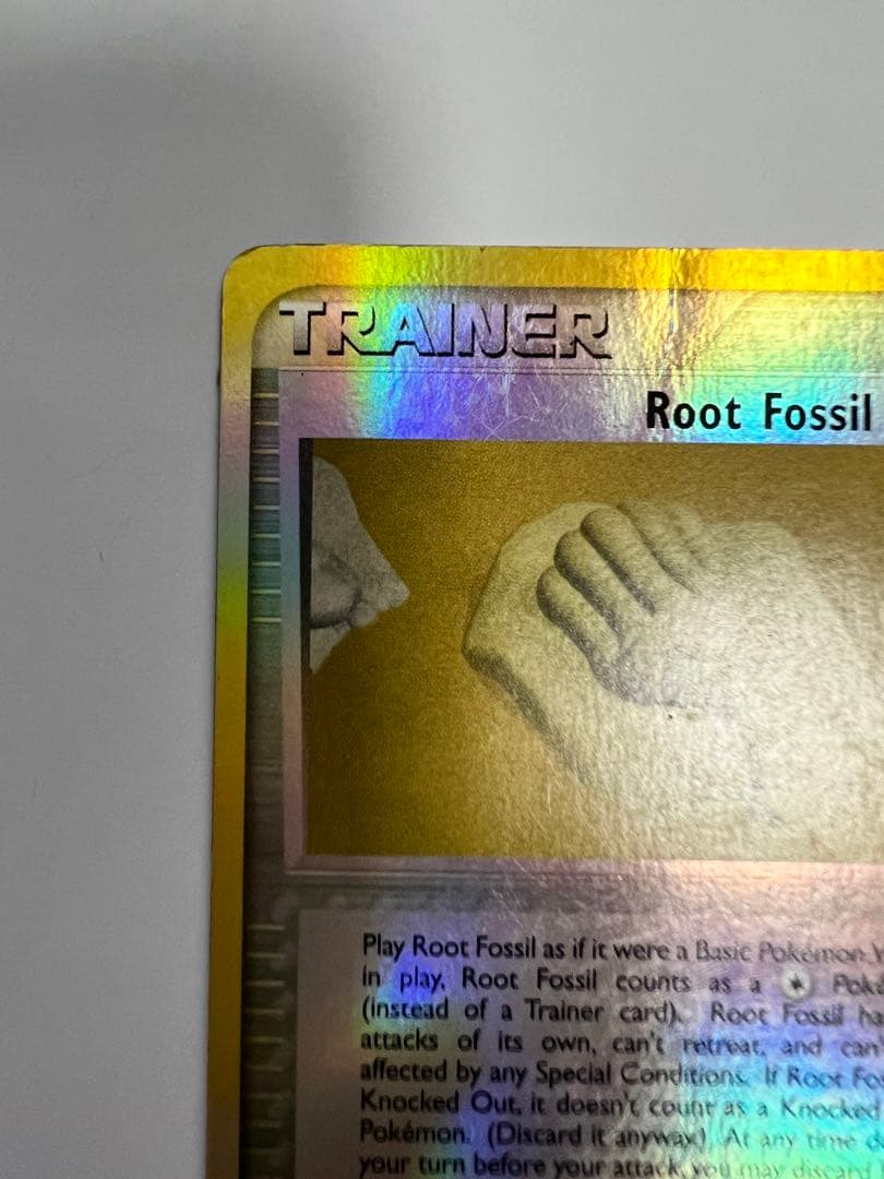 アメリカ購入品 金庫保管品 Root Fossil