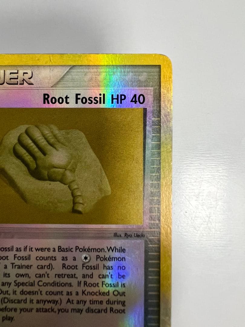 アメリカ購入品 金庫保管品 Root Fossil