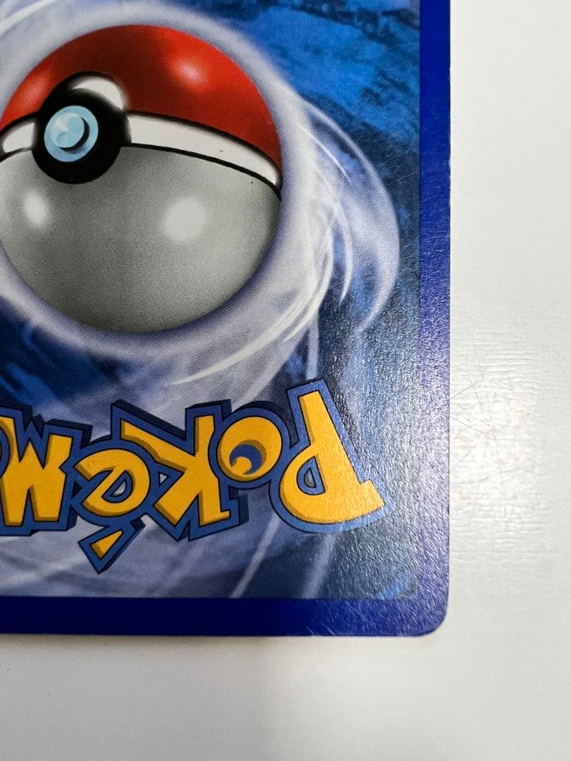 アメリカ購入品 金庫保管品 Root Fossil