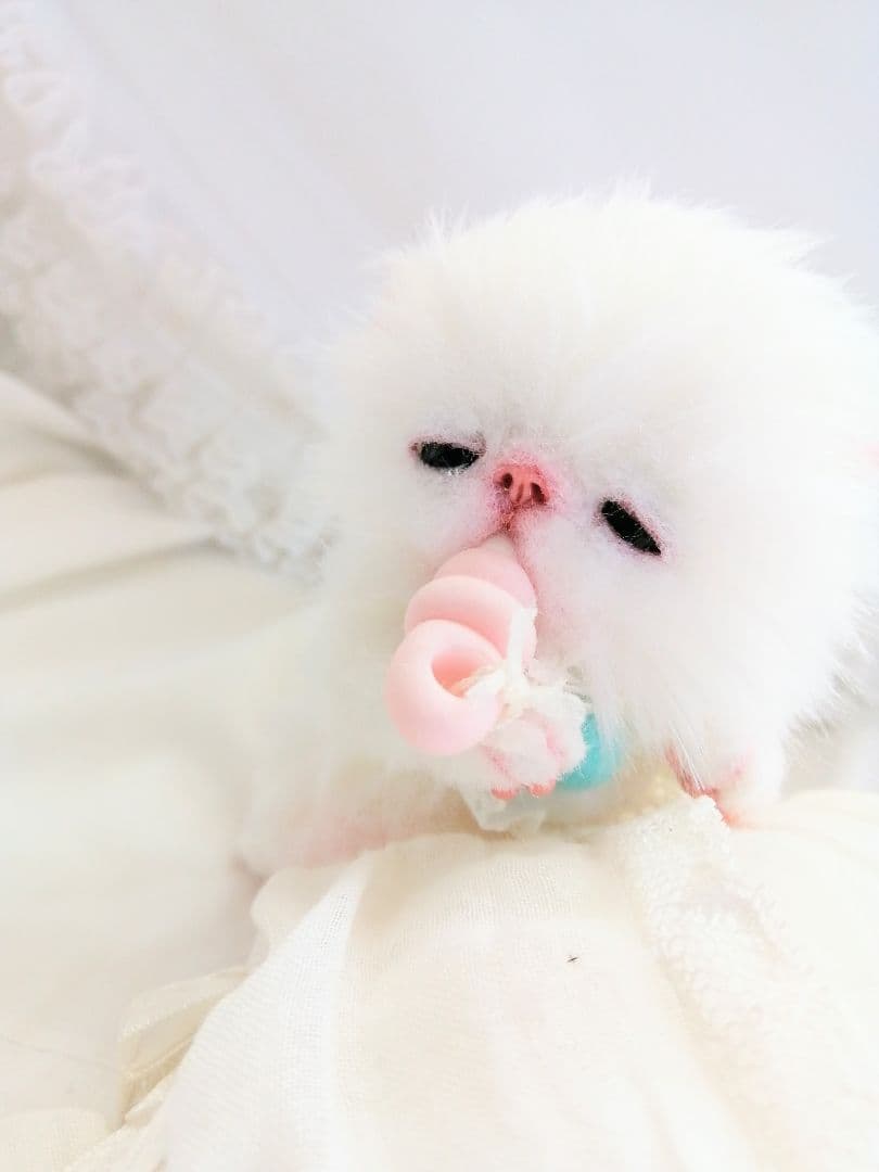 とも様❤️御予約♡おしゃぶり♡お腹ぽっこり子猫ちゃん♡アートドール♡ぬいぐるみ♡