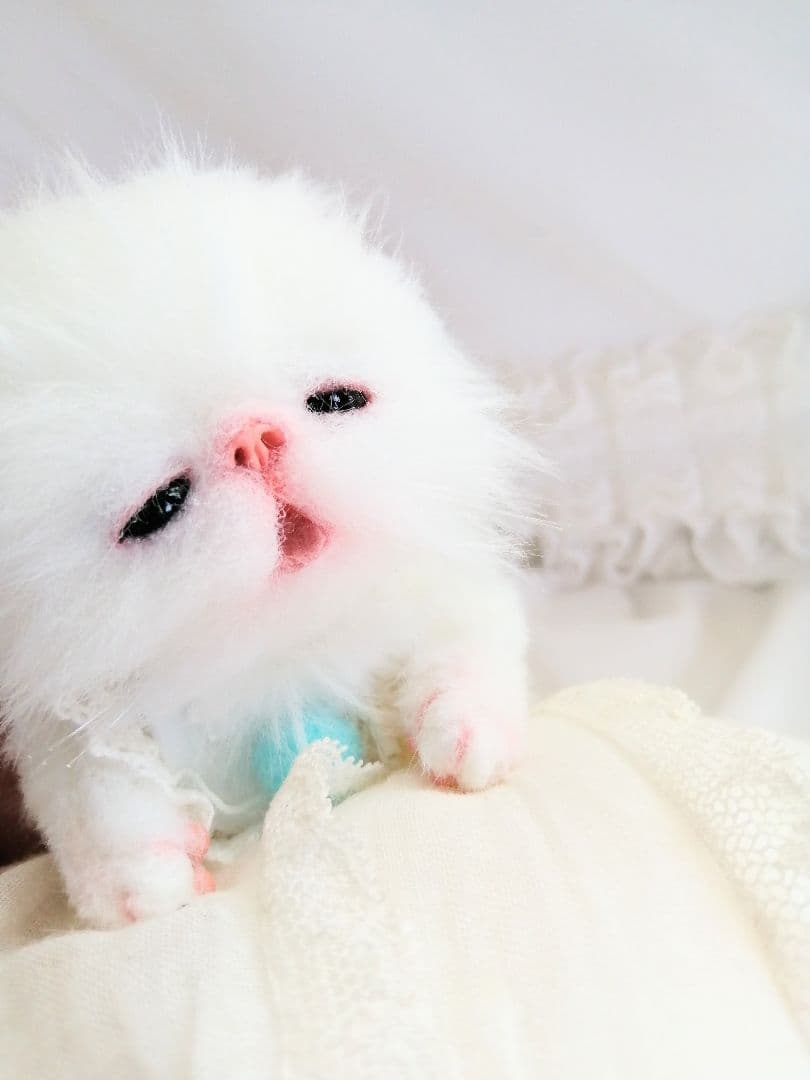 とも様❤️御予約♡おしゃぶり♡お腹ぽっこり子猫ちゃん♡アートドール♡ぬいぐるみ♡