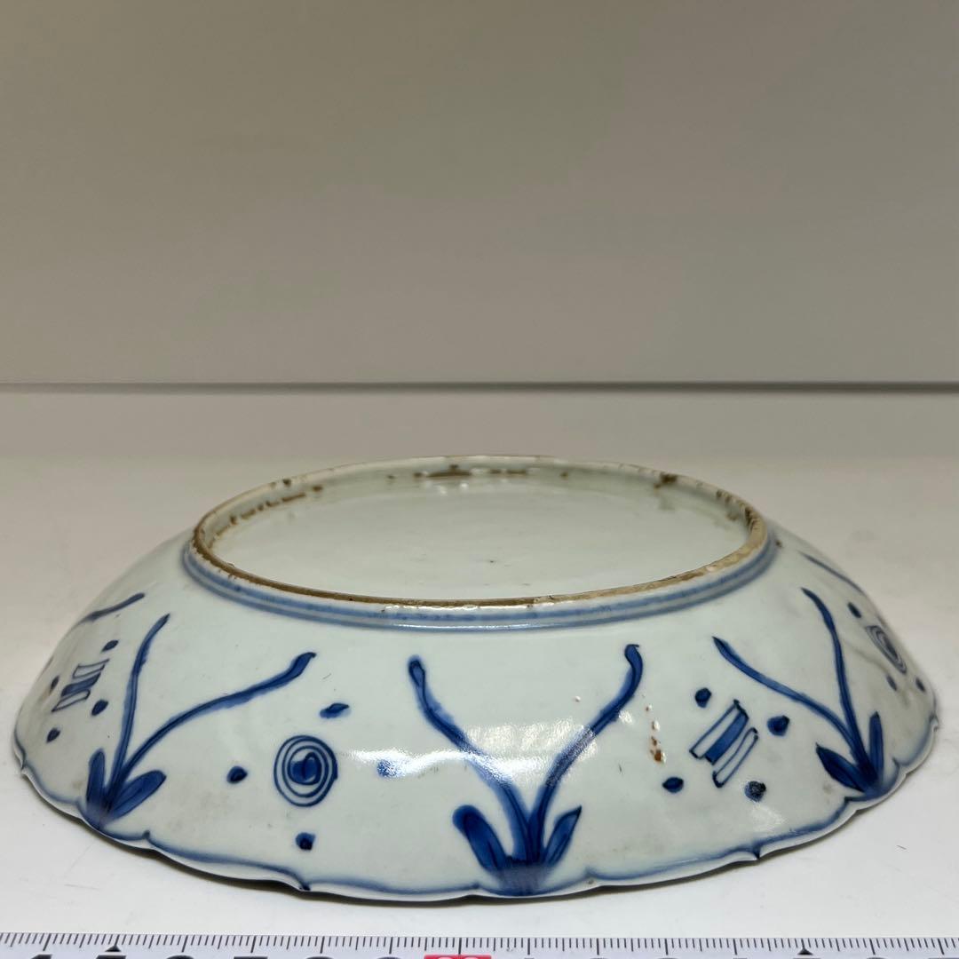 専用　中国明時代 上手古染付 芙蓉手 中皿 木箱付 東キ8-0212⑧ トコカト