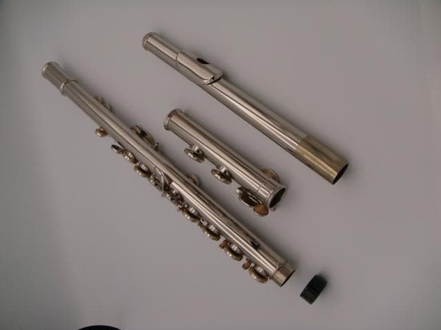 Kaerntner/ケルントナー フルート ケース付き B4693B