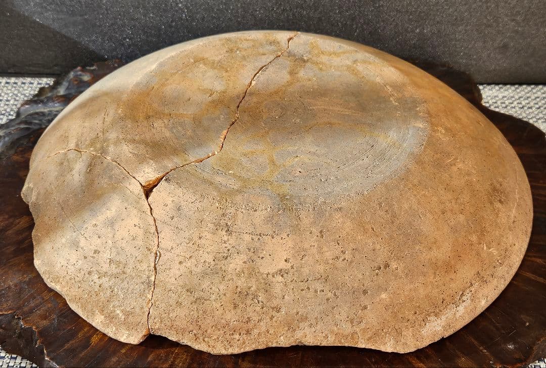 古墳時代〜平安時代　土師器　赤褐色土器　盤　皿　直径 約25.9cm　岩手県出土