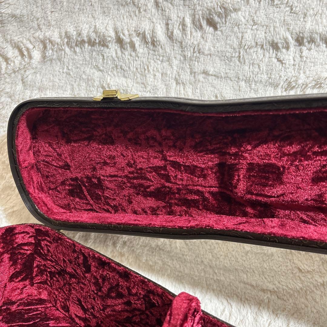 Taylor 317e V-class アコースティックギター ハードケース