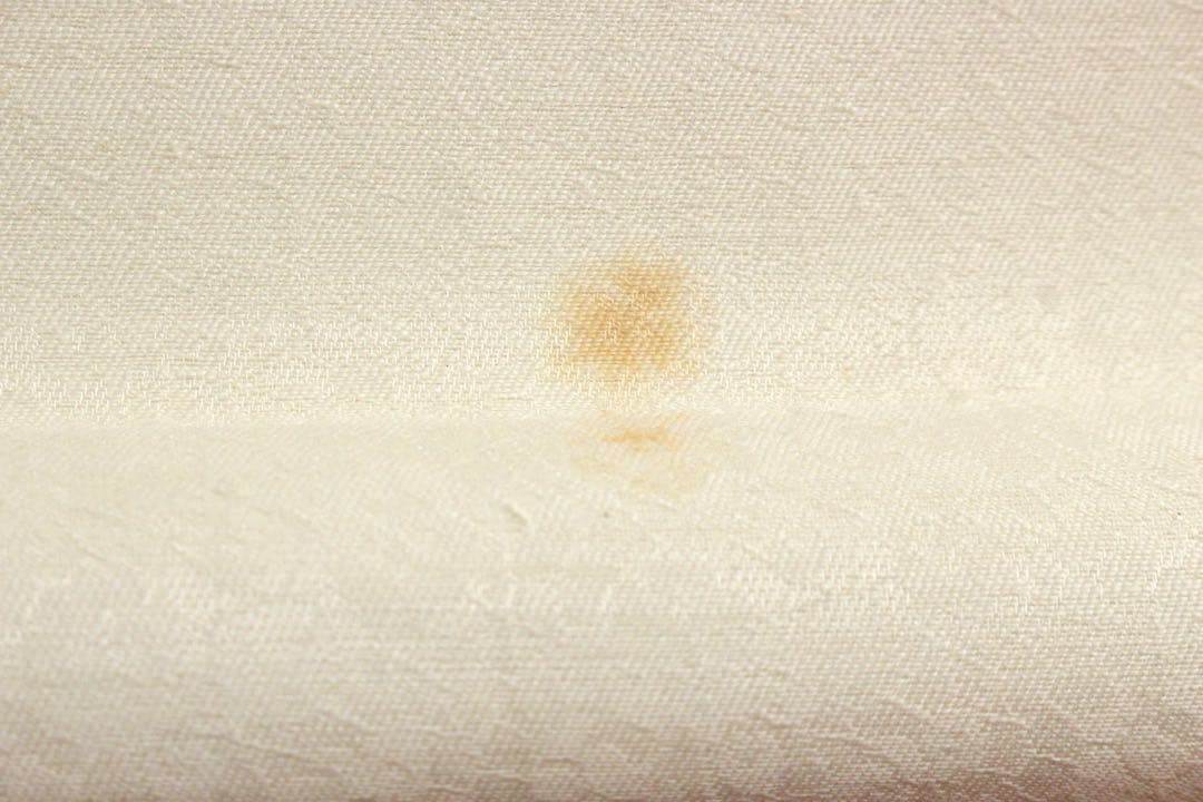 No5334 掛軸　中国　陳沛彬　書　「龍」　紙本　干支　茶掛　古美術　送料無料