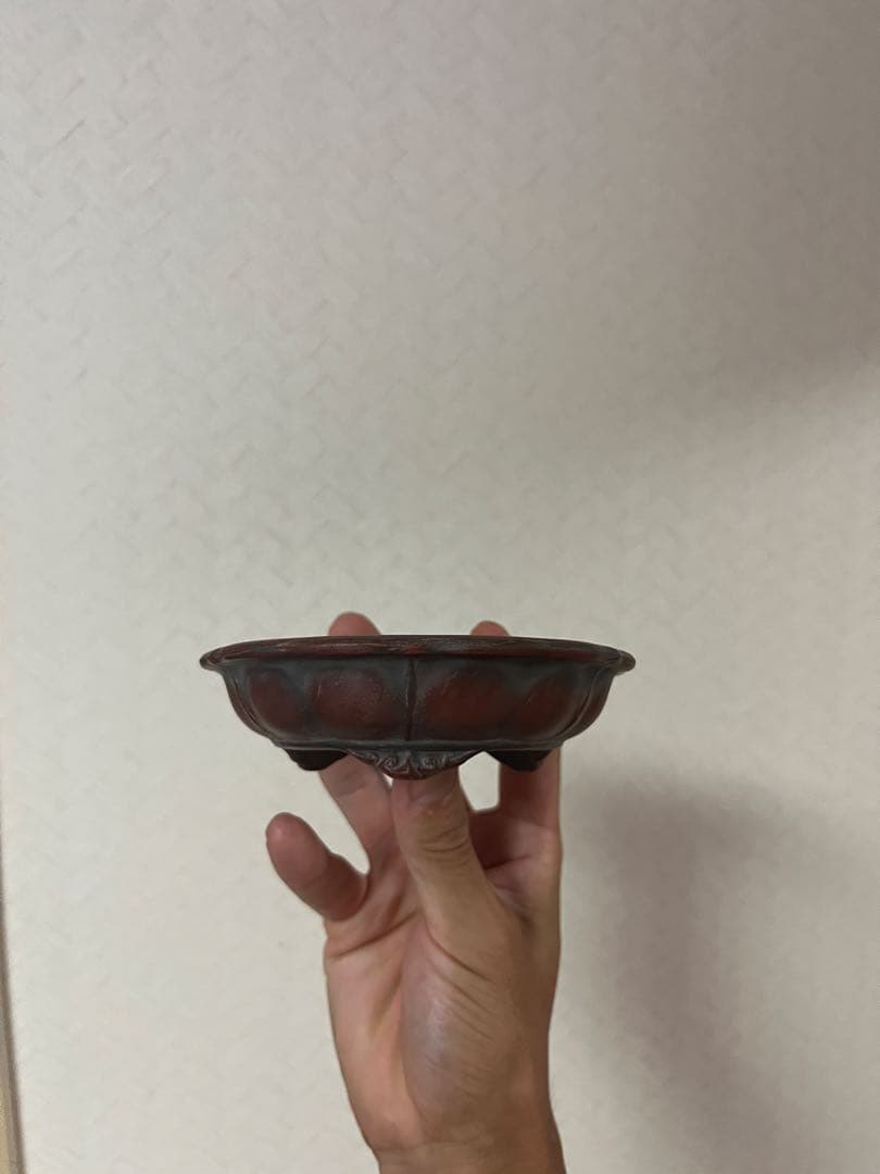 美芸　盆栽鉢　常滑焼