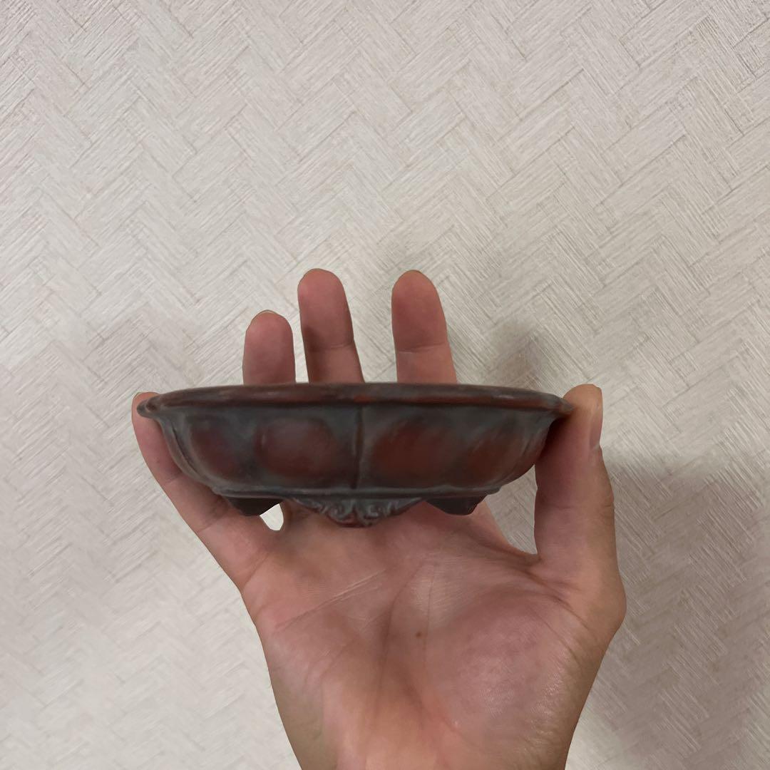 美芸　盆栽鉢　常滑焼