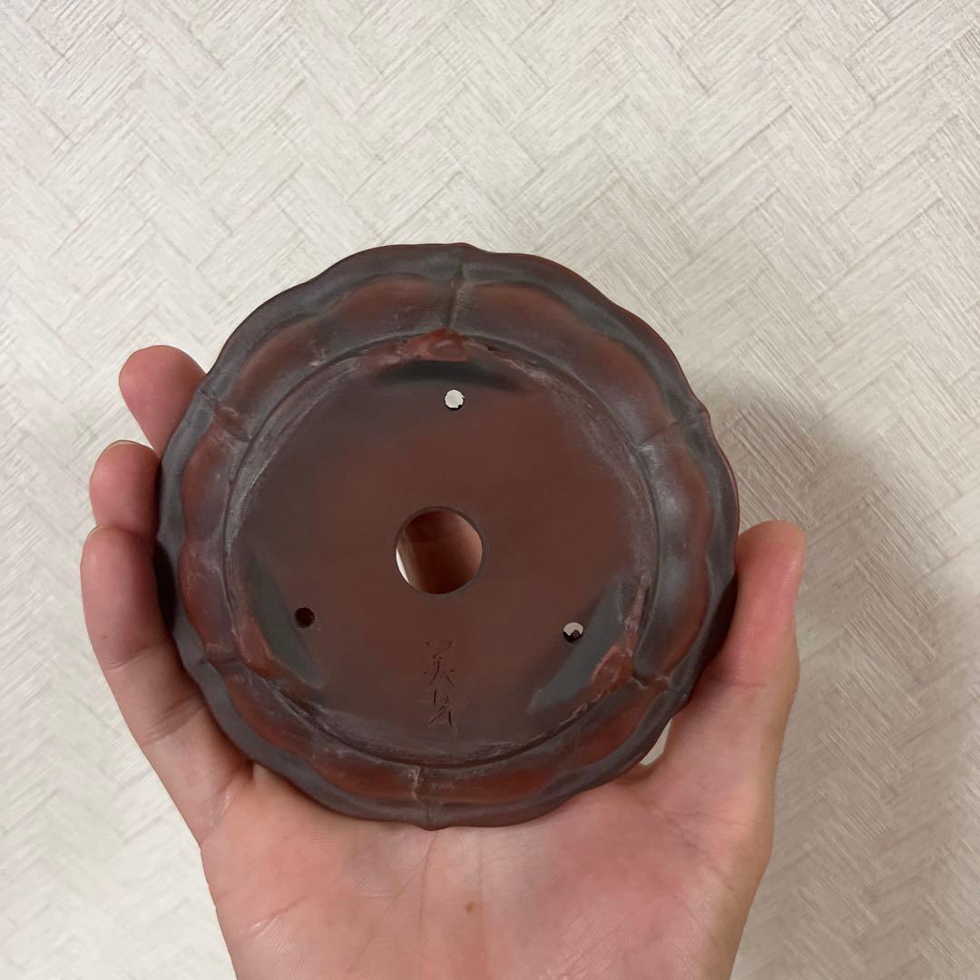 美芸　盆栽鉢　常滑焼