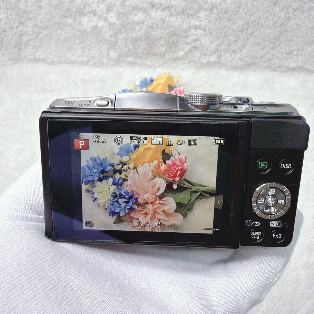 LUMIX デジカメ　一眼　Panasonic DMC-GF6