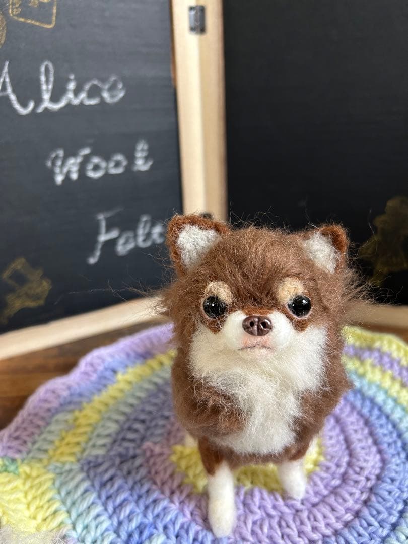 alice...羊毛フェルト　ハンドメイド　チョコタンチワワ