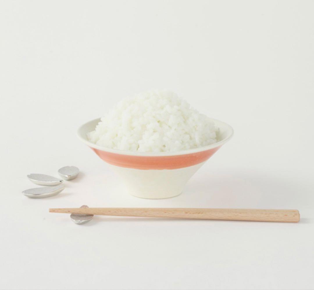 フロイド　Floyd　夫婦箸　茶碗　お茶碗　富士山　お猪口　猪口　猪口セット