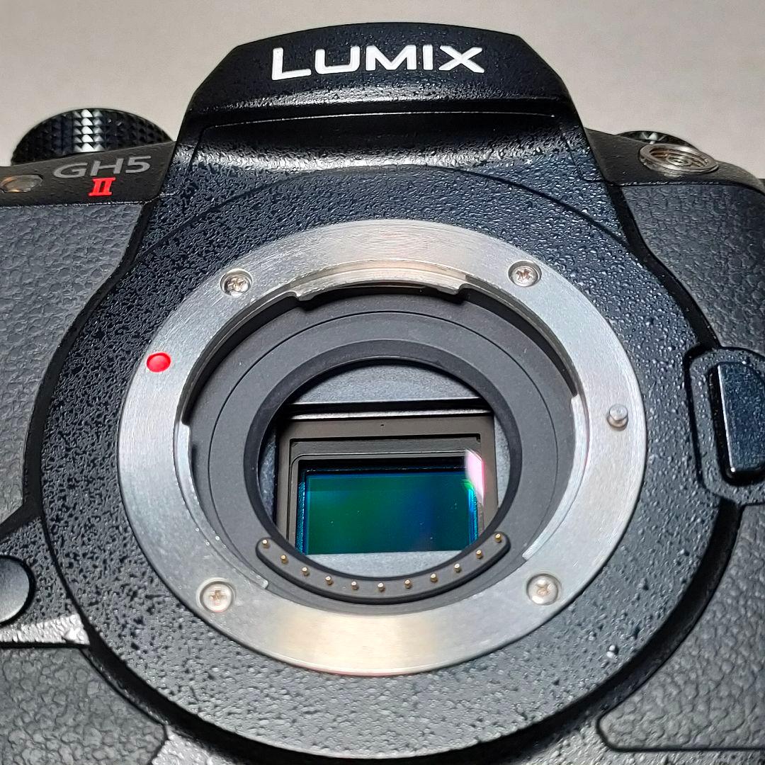 LUMIX GH5 II ミラーレスカメラ #3002