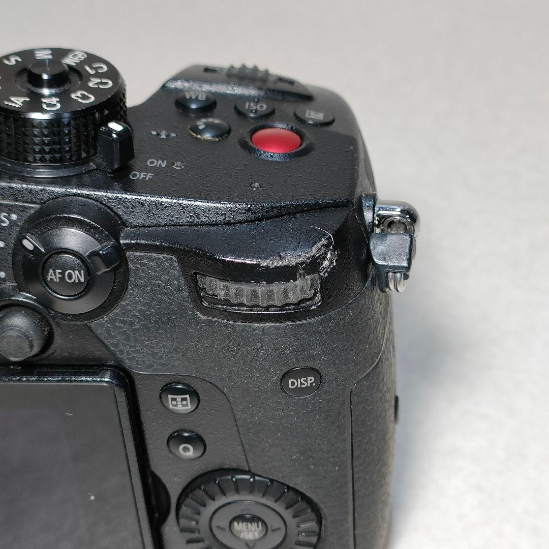 LUMIX GH5 II ミラーレスカメラ #3002