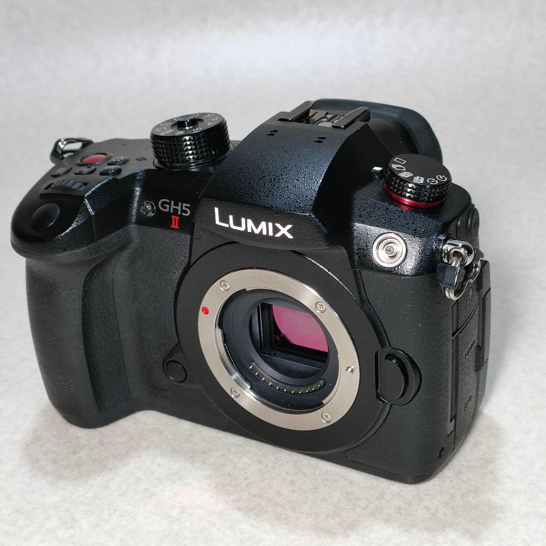 LUMIX GH5 II ミラーレスカメラ #3002