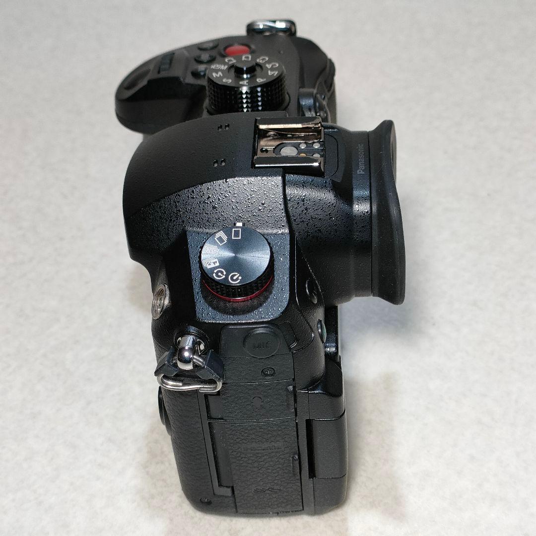 LUMIX GH5 II ミラーレスカメラ #3002