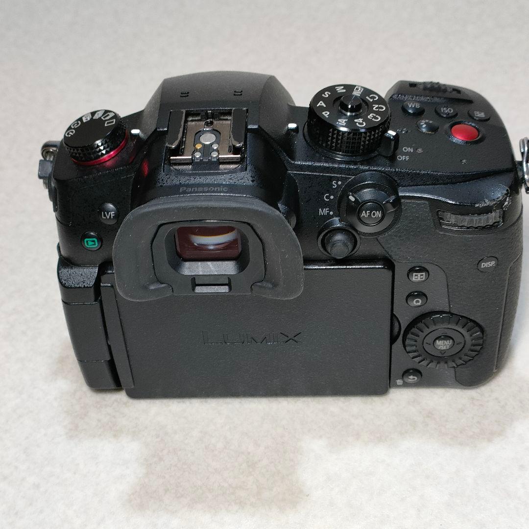 LUMIX GH5 II ミラーレスカメラ #3002