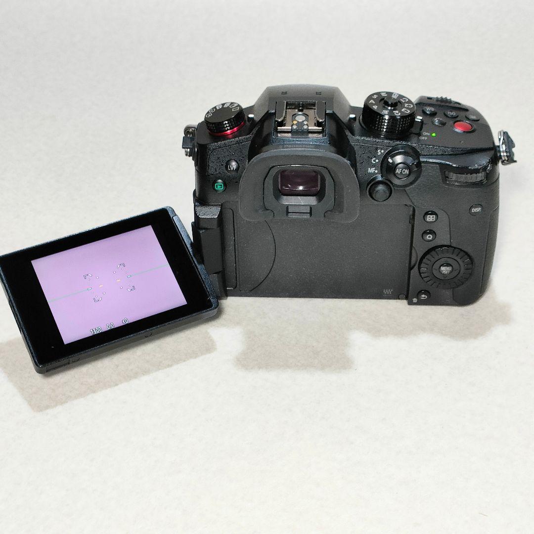 LUMIX GH5 II ミラーレスカメラ #3002