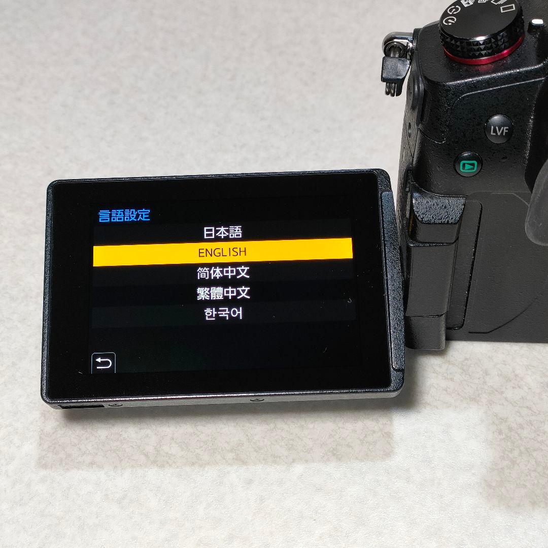 LUMIX GH5 II ミラーレスカメラ #3002